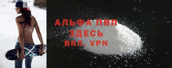 PSILOCYBIN Богданович