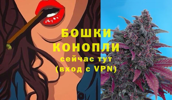 гидропоника Семилуки